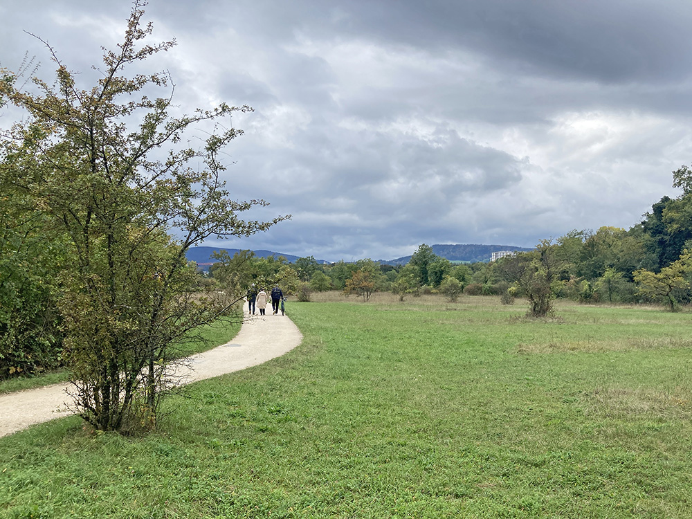 Open landscape with dry meadows, dry scrub and paths that visitors are not allowed to leave.