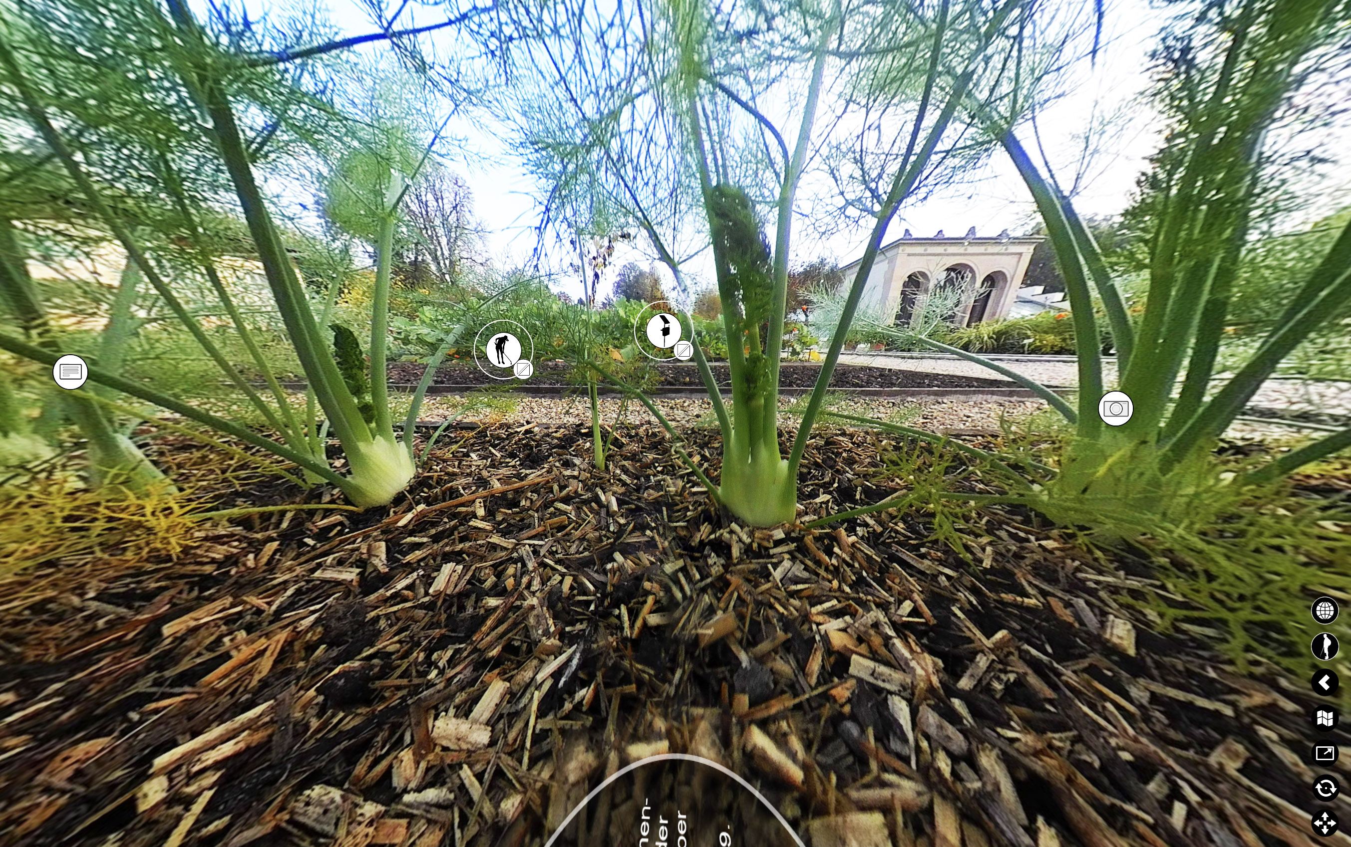 Screenshot of the 'Panorama' application at the 'cottage garden' site in the Merian Gardens, in the middle of the fennel bed, with interactive buttons for retrieving information and measurement data.