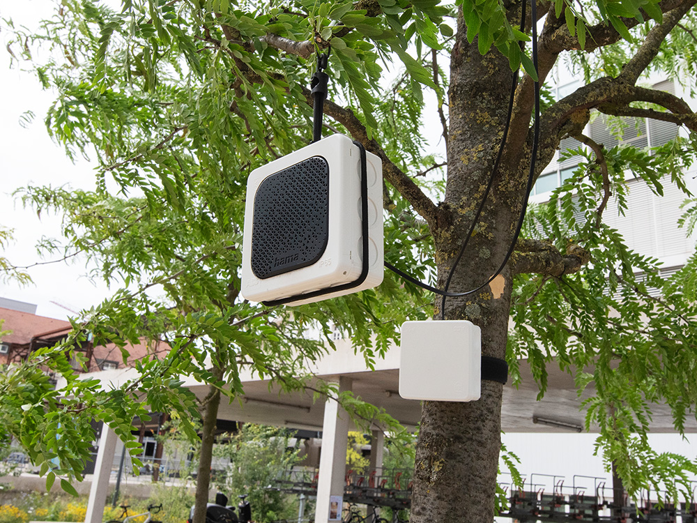 Speakers of the installation “Sensing with Trees”, with which the trees are given a voice.