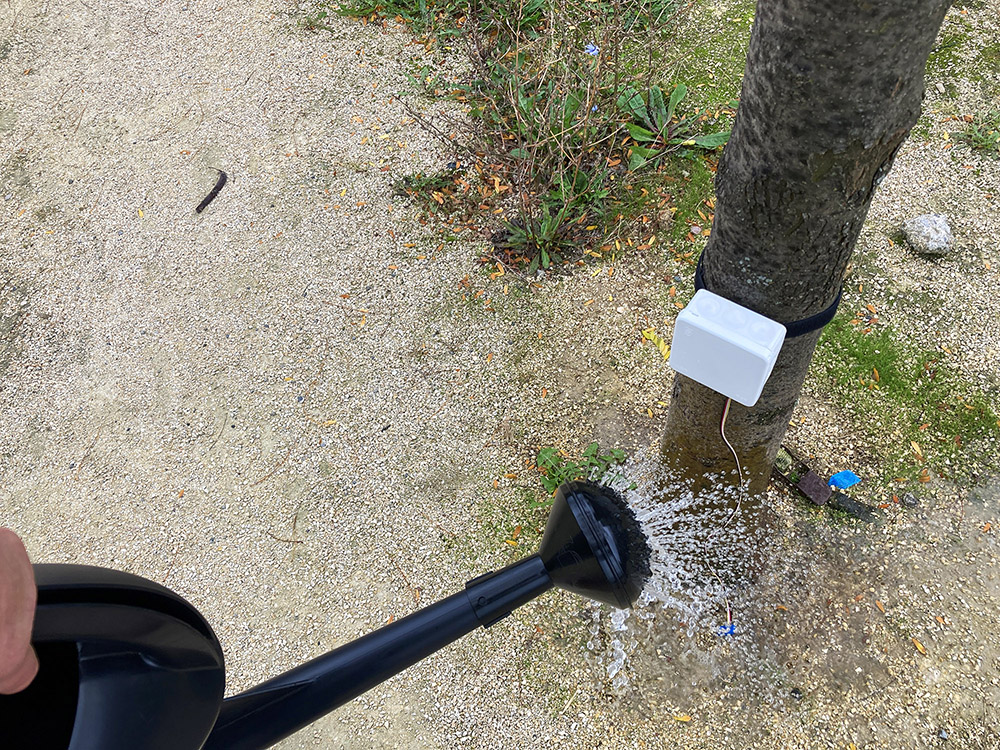 The moisture sensor measures the dryness in the soil and registers when the tree is watered by passers-by.